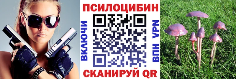 Псилоцибиновые грибы мухоморы  Козьмодемьянск 